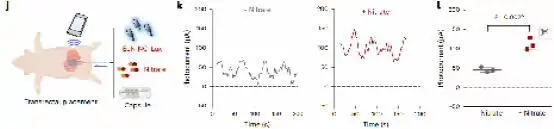 支持手機(jī)操控:中國科學(xué)家開發(fā)健康監(jiān)測新技術(shù),實(shí)現(xiàn)人類與腸道工程菌遠(yuǎn)程“對話”
