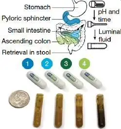 支持手機(jī)操控:中國科學(xué)家開發(fā)健康監(jiān)測新技術(shù),實(shí)現(xiàn)人類與腸道工程菌遠(yuǎn)程“對話”